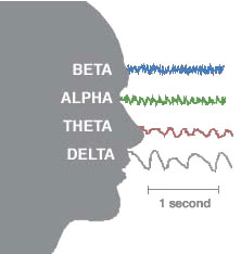 alpha_waves_beta_delta